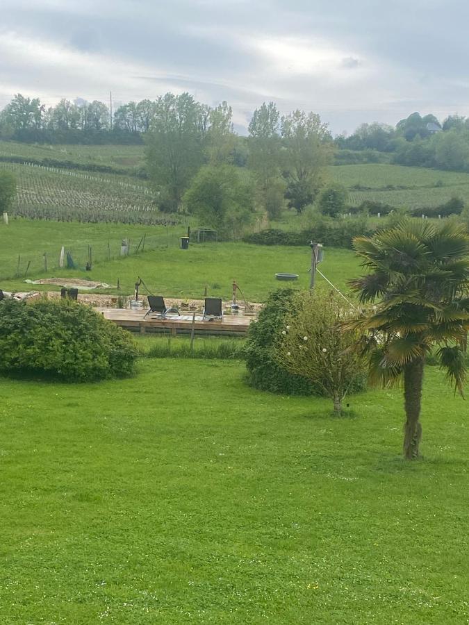 Chambre D'Hote Pres Bordeaux Au Chateau Camponac Bourg-sur-Gironde Екстериор снимка
